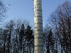 150
